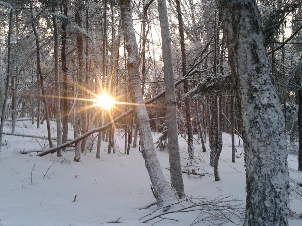 12642456_10156603752595372_2773476063252422148_n